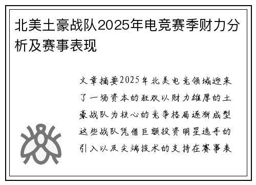 北美土豪战队2025年电竞赛季财力分析及赛事表现